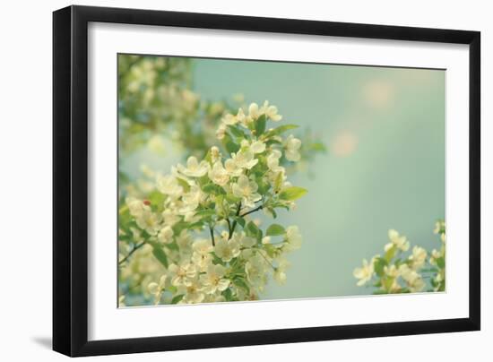 Spring Beauty I-Sue Schlabach-Framed Art Print