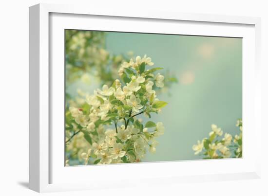 Spring Beauty I-Sue Schlabach-Framed Art Print