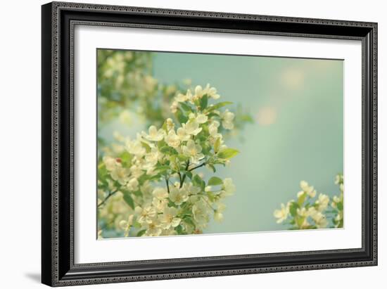 Spring Beauty I-Sue Schlabach-Framed Art Print