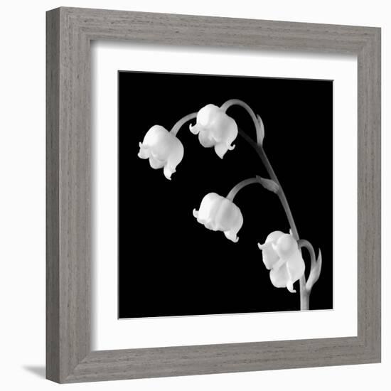 Spring Bells I-Michael Faragher-Framed Art Print