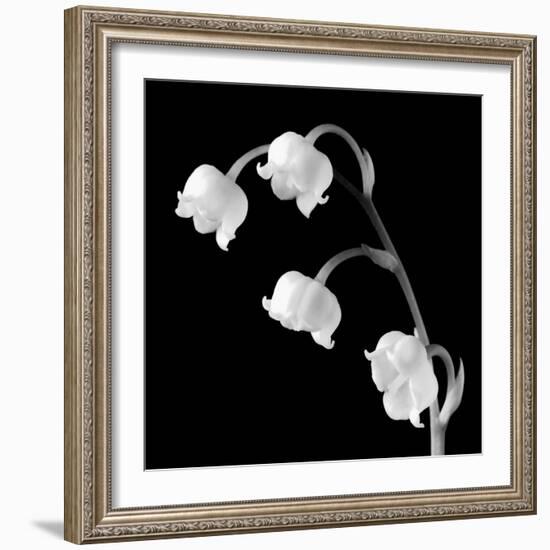 Spring Bells I-Michael Faragher-Framed Premium Giclee Print