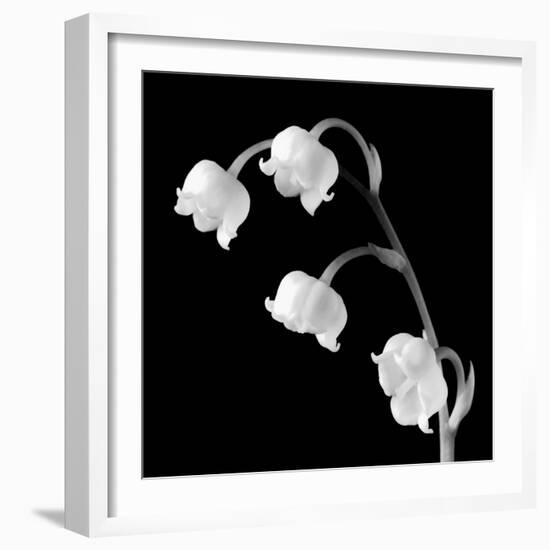 Spring Bells I-Michael Faragher-Framed Premium Giclee Print