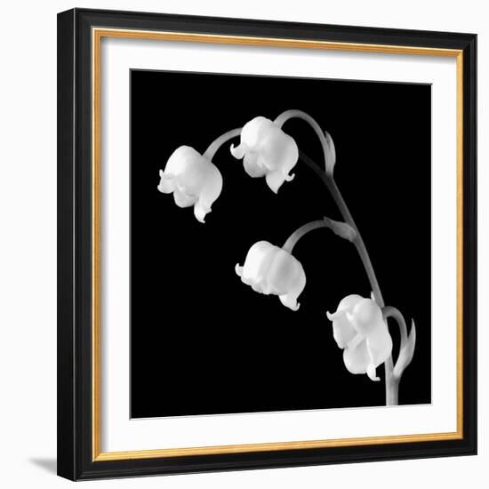 Spring Bells I-Michael Faragher-Framed Premium Giclee Print