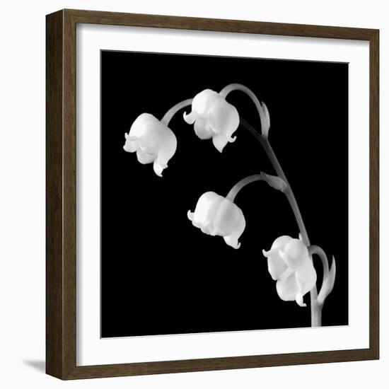 Spring Bells I-Michael Faragher-Framed Art Print