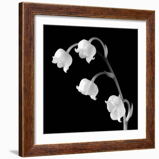 Spring Bells I-Michael Faragher-Framed Art Print