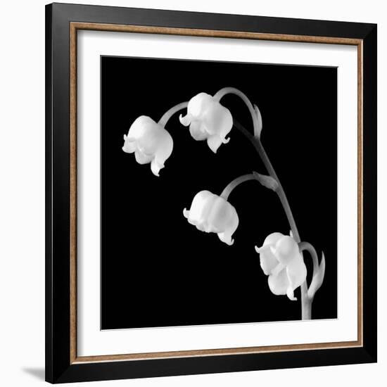 Spring Bells I-Michael Faragher-Framed Art Print