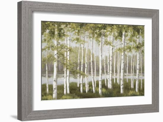 Spring Birch Tree Grove-Jill Schultz McGannon-Framed Art Print