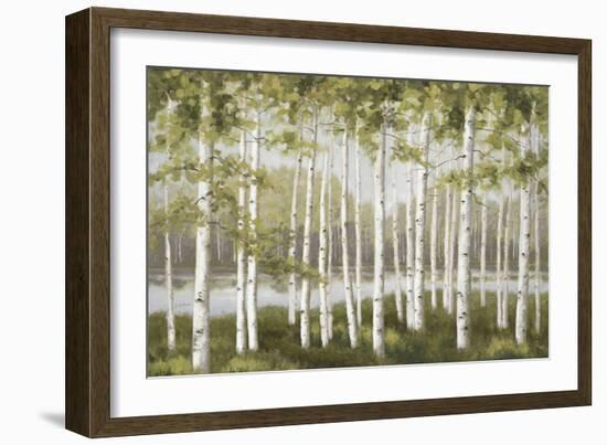 Spring Birch Tree Grove-Jill Schultz McGannon-Framed Art Print