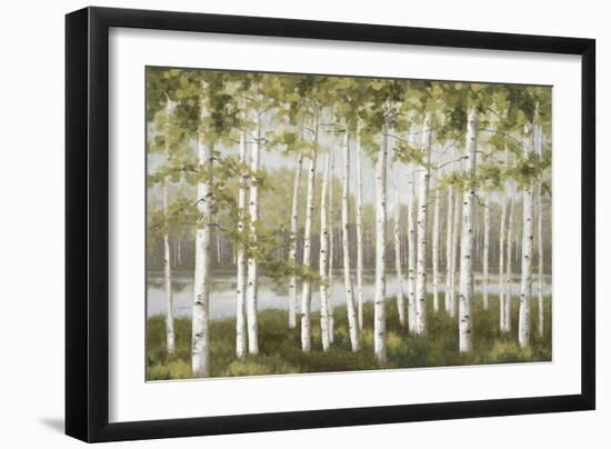 Spring Birch Tree Grove-Jill Schultz McGannon-Framed Art Print