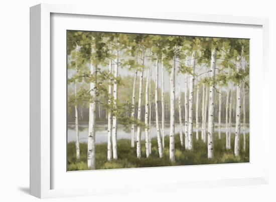 Spring Birch Tree Grove-Jill Schultz McGannon-Framed Art Print