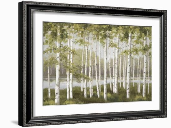 Spring Birch Tree Grove-Jill Schultz McGannon-Framed Art Print