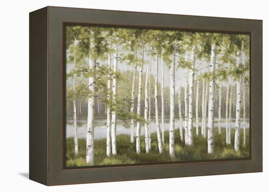 Spring Birch Tree Grove-Jill Schultz McGannon-Framed Stretched Canvas