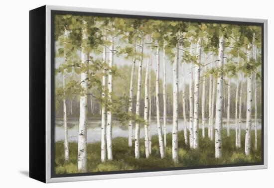 Spring Birch Tree Grove-Jill Schultz McGannon-Framed Stretched Canvas