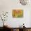 Spring Birch Trees-GI ArtLab-Premium Giclee Print displayed on a wall