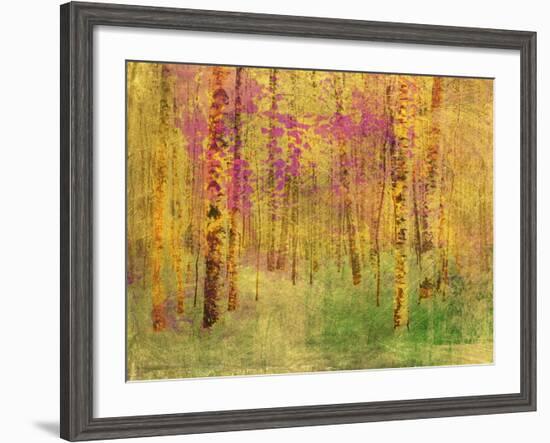 Spring Birch Trees-GI ArtLab-Framed Premium Giclee Print