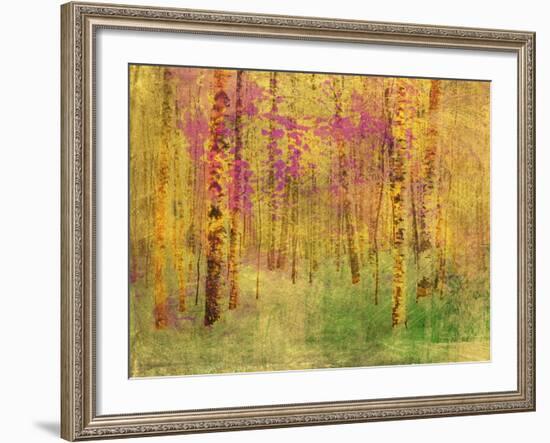 Spring Birch Trees-GI ArtLab-Framed Premium Giclee Print