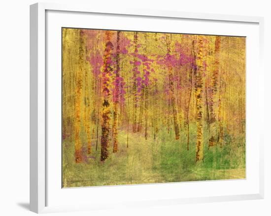 Spring Birch Trees-GI ArtLab-Framed Premium Giclee Print