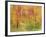 Spring Birch Trees-GI ArtLab-Framed Premium Giclee Print