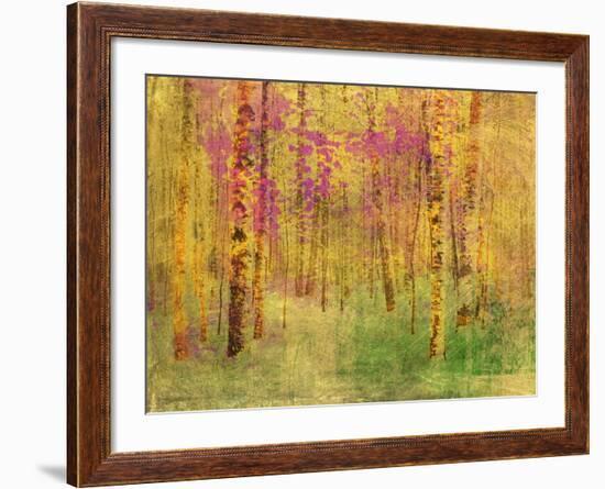 Spring Birch Trees-GI ArtLab-Framed Premium Giclee Print