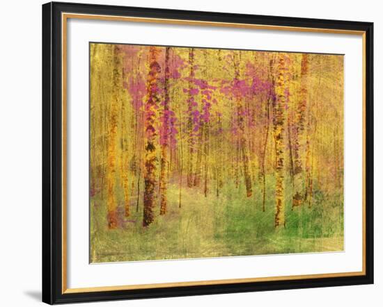 Spring Birch Trees-GI ArtLab-Framed Premium Giclee Print