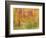 Spring Birch Trees-GI ArtLab-Framed Premium Giclee Print