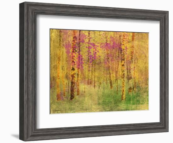 Spring Birch Trees-GI ArtLab-Framed Giclee Print