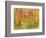 Spring Birch Trees-GI ArtLab-Framed Giclee Print