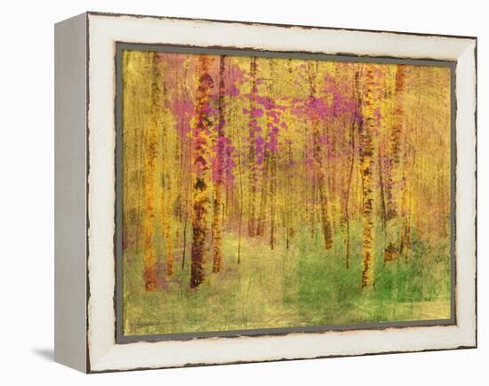 Spring Birch Trees-GI ArtLab-Framed Premier Image Canvas