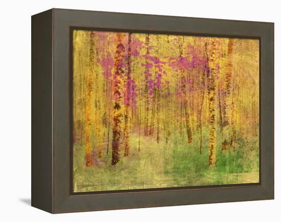 Spring Birch Trees-GI ArtLab-Framed Premier Image Canvas