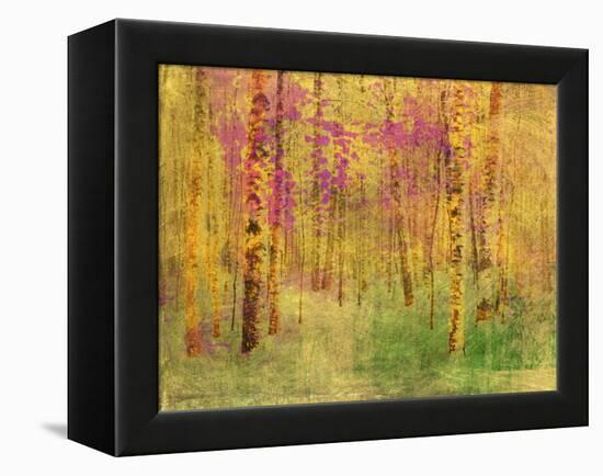 Spring Birch Trees-GI ArtLab-Framed Premier Image Canvas