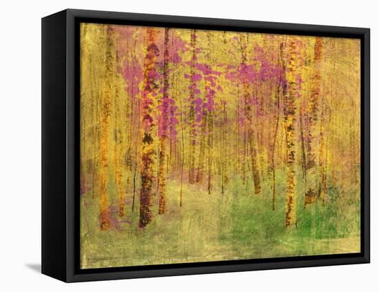 Spring Birch Trees-GI ArtLab-Framed Premier Image Canvas
