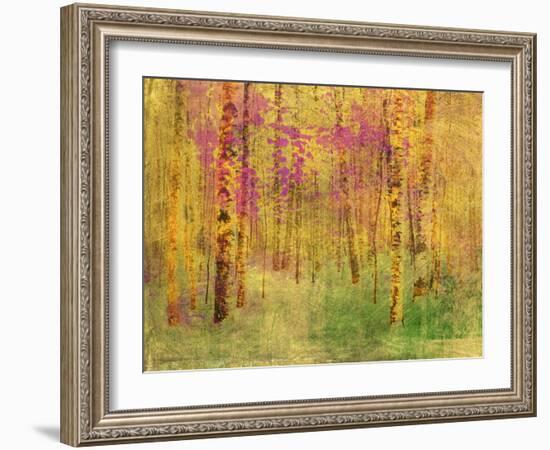 Spring Birch Trees-GI ArtLab-Framed Giclee Print