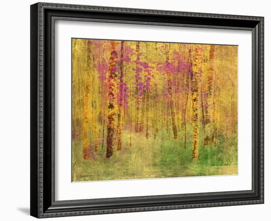 Spring Birch Trees-GI ArtLab-Framed Giclee Print