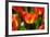 Spring Bling-pudding-Framed Photographic Print