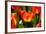 Spring Bling-pudding-Framed Photographic Print