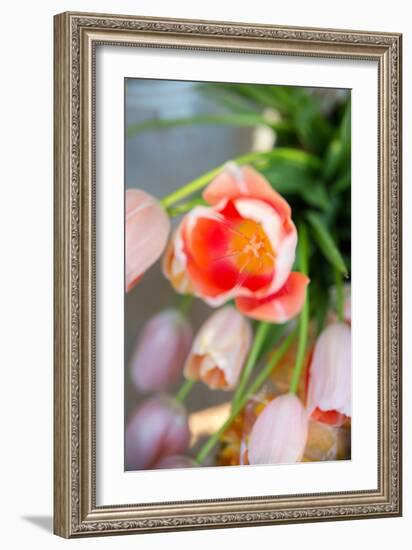 Spring Bloom I-Karyn Millet-Framed Photo