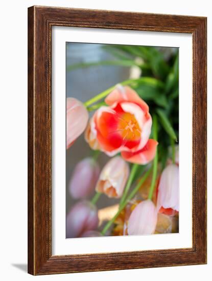 Spring Bloom I-Karyn Millet-Framed Photo