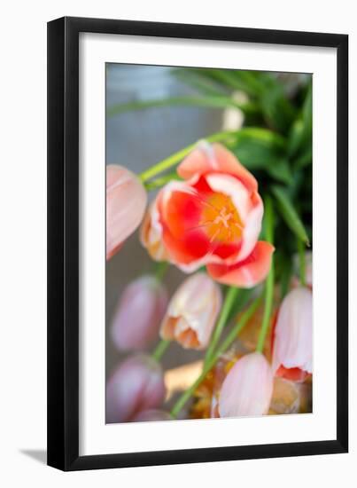 Spring Bloom I-Karyn Millet-Framed Photo