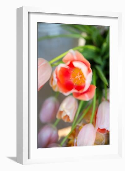 Spring Bloom I-Karyn Millet-Framed Photo