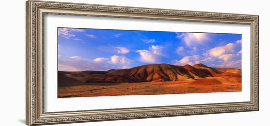 Spring Bloom in Painted Hills National Monument, Oregon, USA-Terry Eggers-Framed Photographic Print