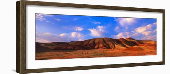 Spring Bloom in Painted Hills National Monument, Oregon, USA-Terry Eggers-Framed Photographic Print