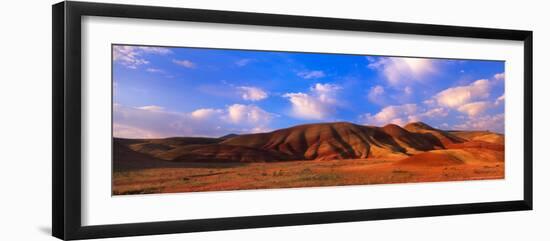 Spring Bloom in Painted Hills National Monument, Oregon, USA-Terry Eggers-Framed Photographic Print