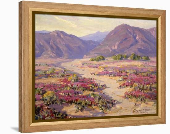 Spring Bloom in the Desert-Benjamin Chambers-Framed Stretched Canvas