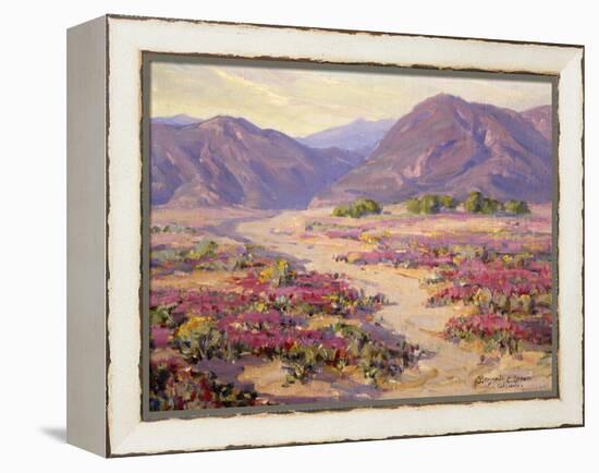 Spring Bloom in the Desert-Benjamin Chambers-Framed Stretched Canvas