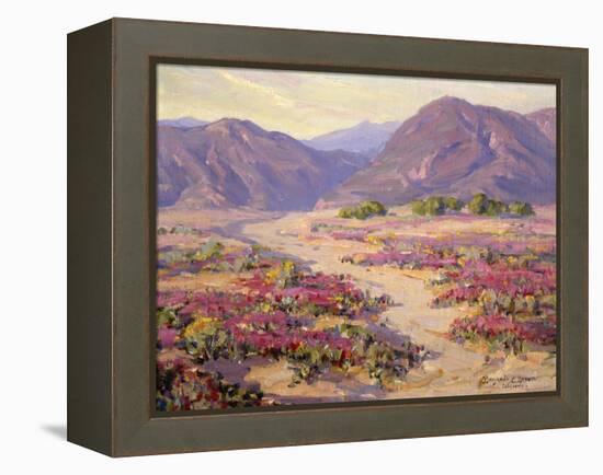 Spring Bloom in the Desert-Benjamin Chambers-Framed Stretched Canvas