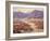 Spring Bloom in the Desert-Benjamin Chambers-Framed Art Print