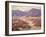 Spring Bloom in the Desert-Benjamin Chambers-Framed Art Print