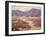 Spring Bloom in the Desert-Benjamin Chambers-Framed Art Print