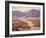 Spring Bloom in the Desert-Benjamin Chambers-Framed Art Print