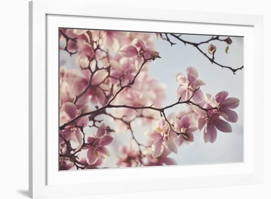 Spring Bloom-Irene Suchocki-Framed Giclee Print